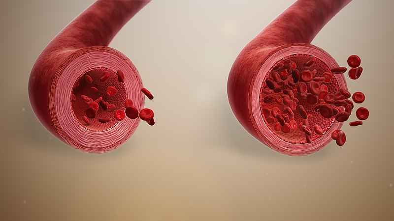 How Bathmate boosts blood flow for stronger erections - Explained.